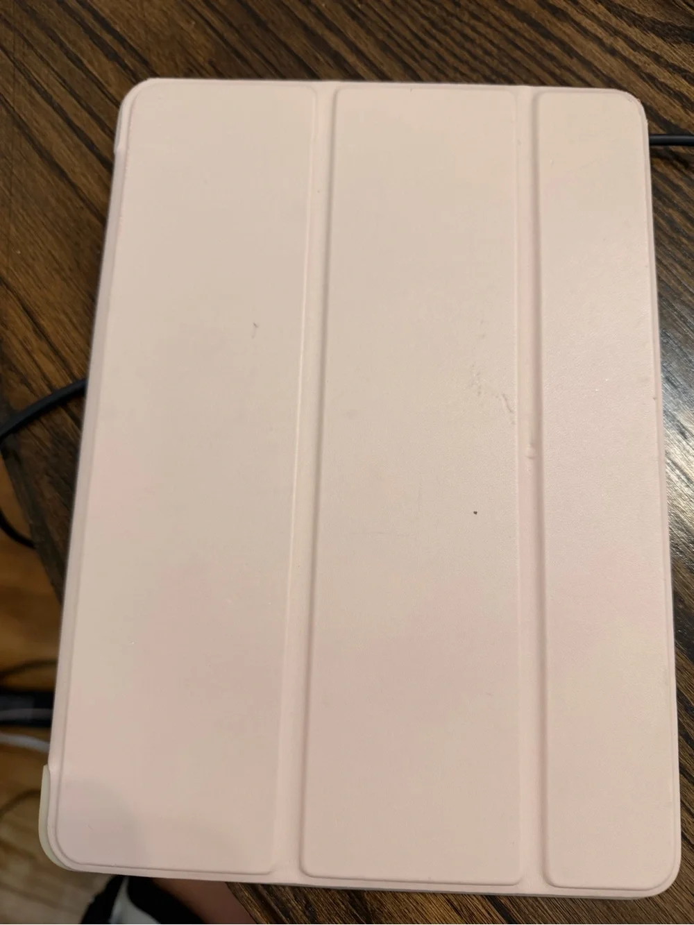 Apple iPad in White and rose gold back